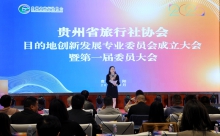 贵州省旅行社协会目的地创新发展专业委员会正式成立