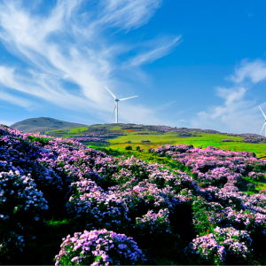 旅游地理：乌蒙大草原