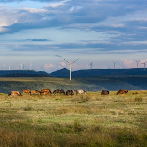 旅游地理：龙里大草原