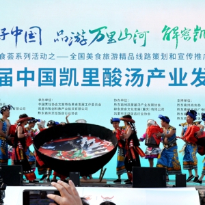 2024首届中国贵州凯里酸汤产业发展大会隆重开幕