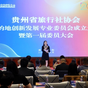 贵州省旅行社协会目的地创新发展专业委员会正式成立