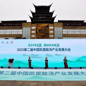 2025第二届中国凯里酸汤产业发展大会隆重开幕