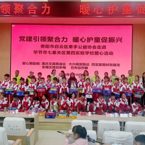党建引领聚合力 暖心护童促振兴